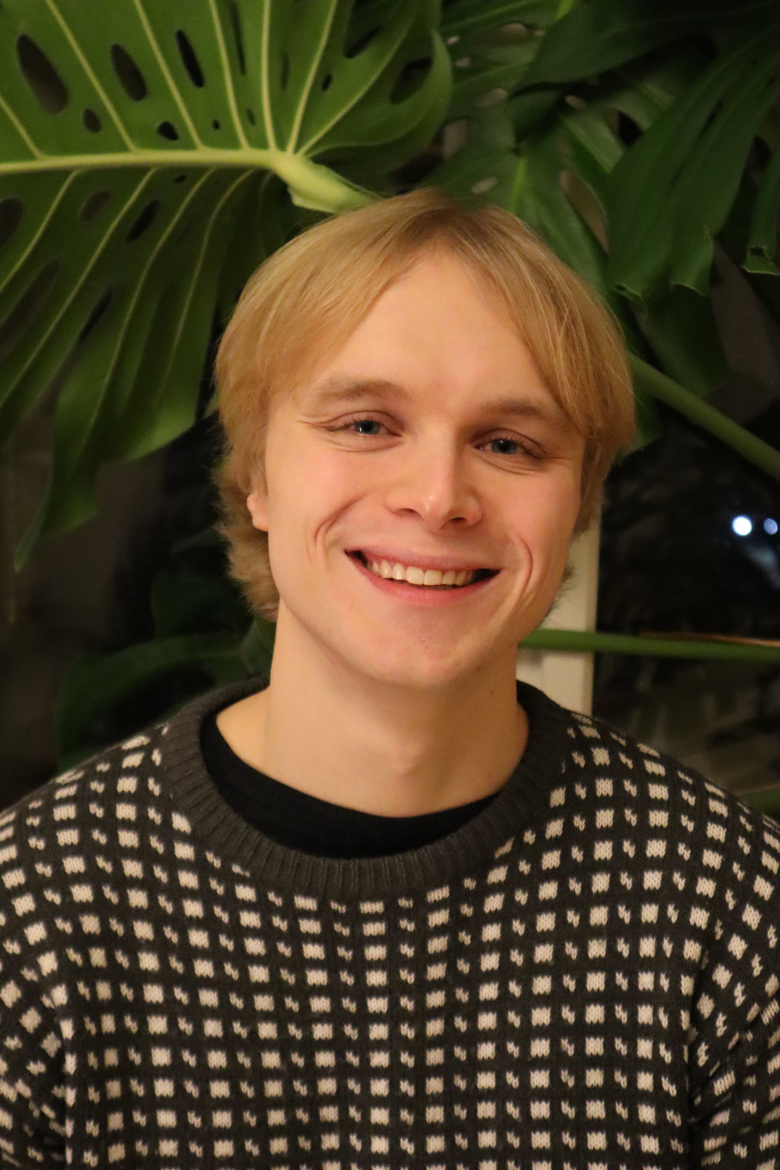 Lars Hoel Birketvedt